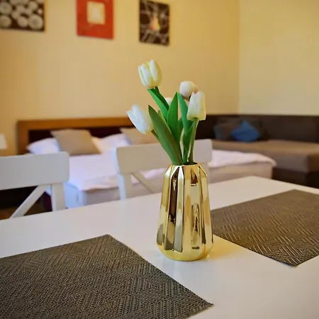 Makotel Apartmanhaz Apartment